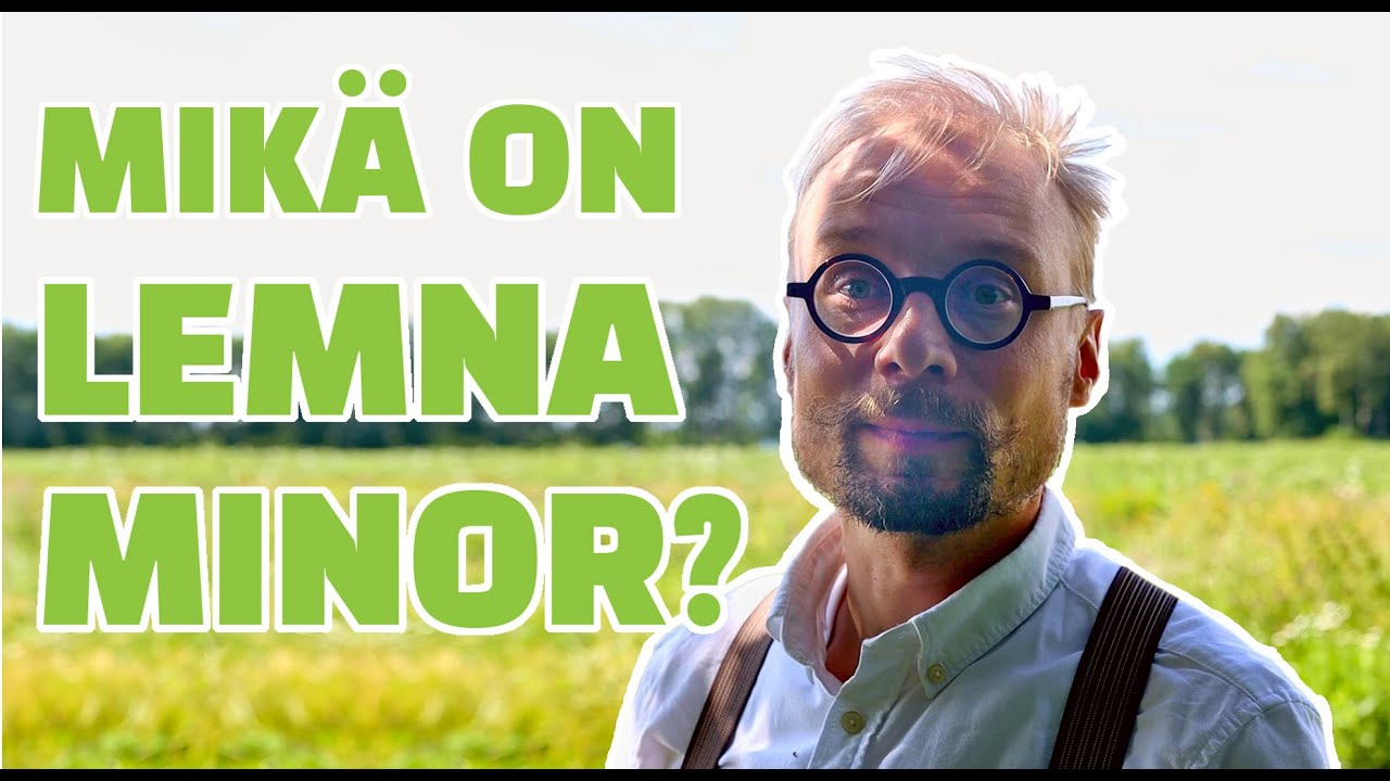 Luomuviljelijä Laurikainen - Lemna minor esittely