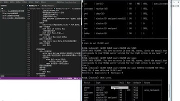 PHP教程 项目实战第9课使用DDL命令对数据字段的相关操作