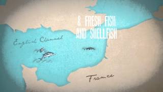 Meat the Fish