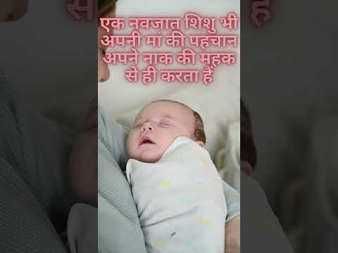 Mother By The Smell Of Its Nose Nose Shorts 