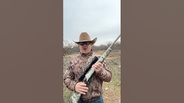 Cover Image for Is the Tikka T3x Lite Veil Alpine terrible? Is it #DNGAF?