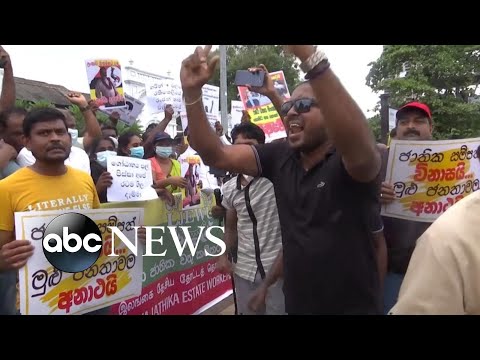 Sri Lanka in turmoil as president flees nation amid mass protests l ABCNL