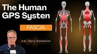 Fascia: The Human GPS System screenshot 5