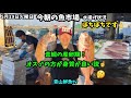 【ぼちぼち👌】今朝の魚市場5月19日火曜日の水揚げ状況