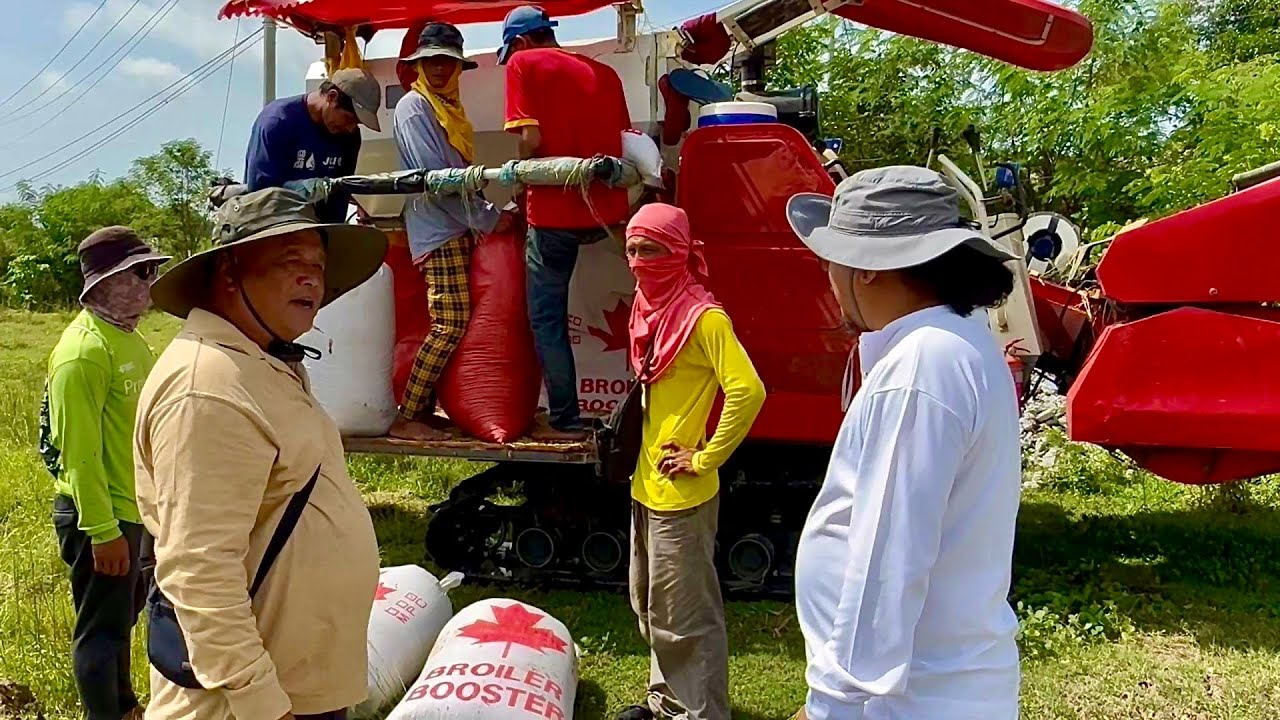 Organic Rice Farming: Mahusay na Rice Farmer, Kikita Ngayon ng  2.1 Million