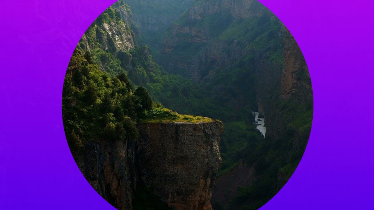 Himalayan blunder book review