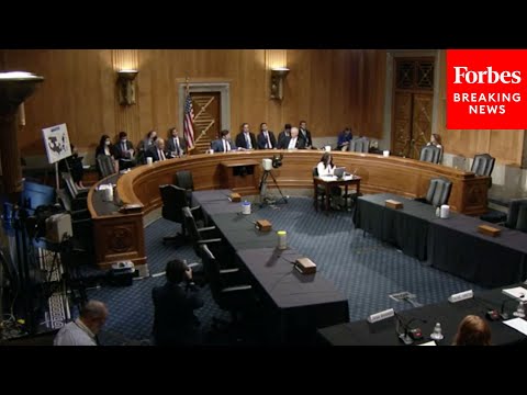 Senate Homeland Security Committee Holds Hearing On Mistreatment Of Military Families