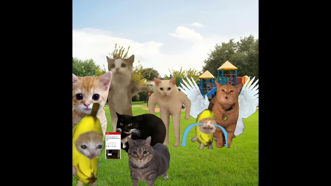 I Go Meow R.I.P. 😿 &  Baby Banana Cat 😺❤️  