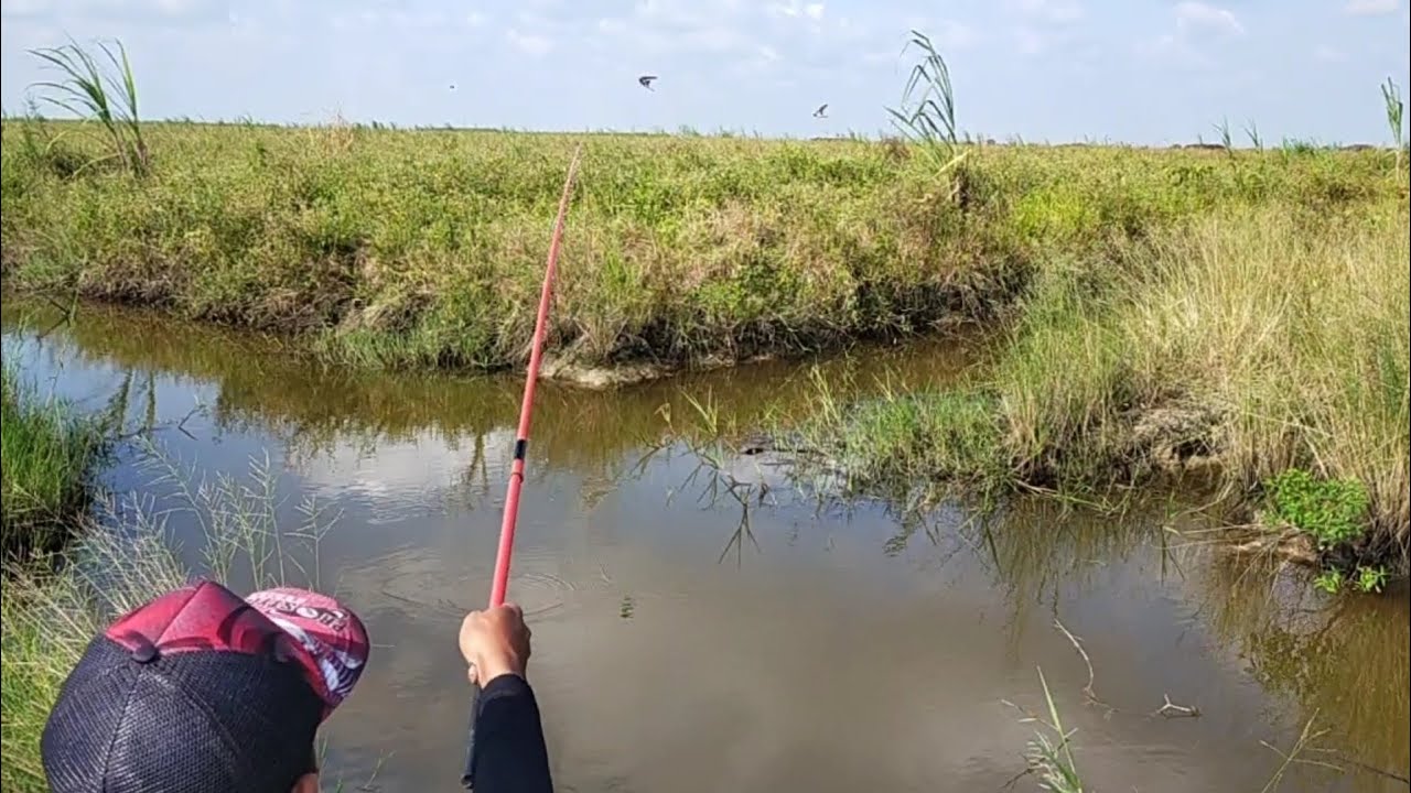 mancing ikan nila di parit kecil spot nya sering di jala tapi ikan nya tetep ganas