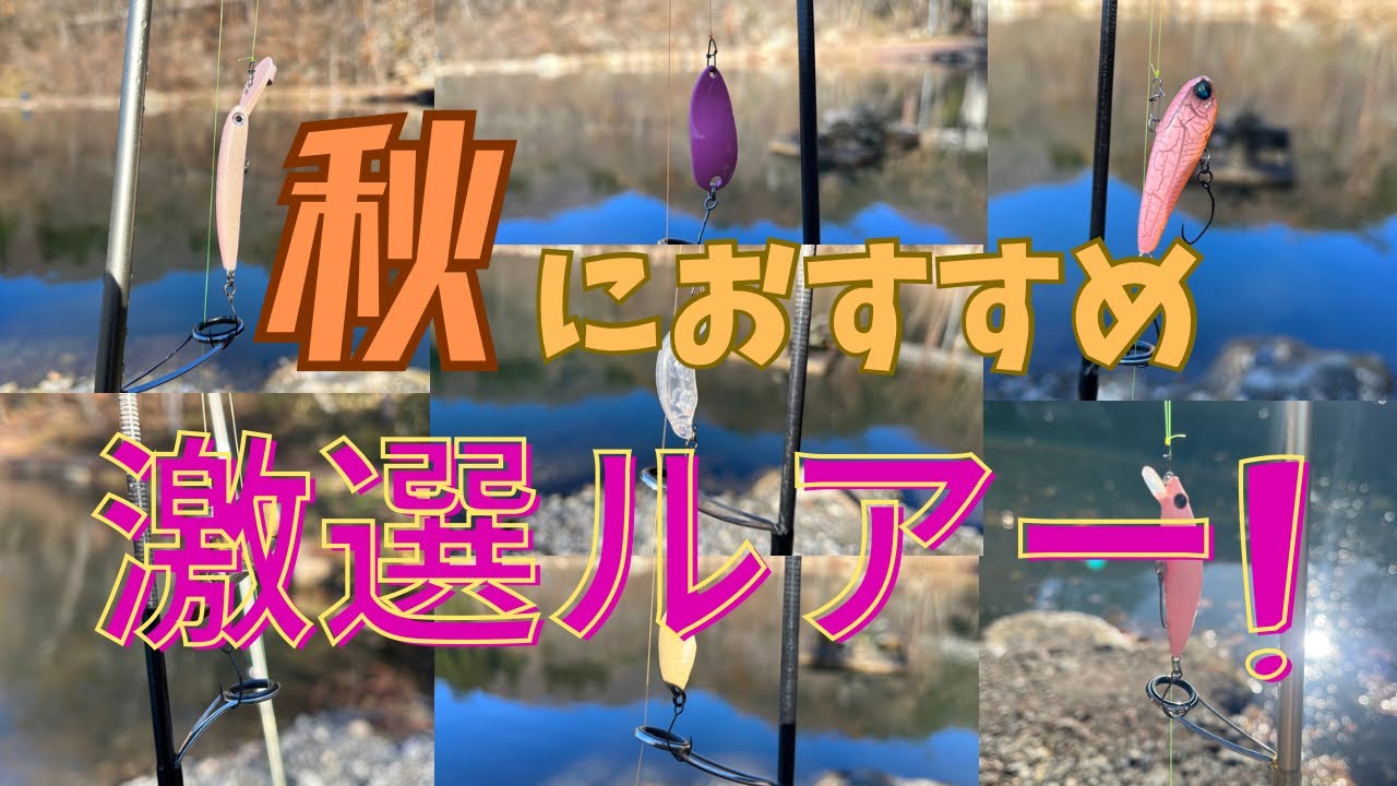 【エリアトラウト 】秋パターンにおすすめのルアーをご紹介‼️表層〜ボトム✨全レンジから魚のいる層を見つけ出そう🐟〜鶴沼川フィッシングパーク〜