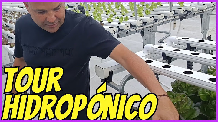 El Tour de José Elías, lechugas sin tierra, de la Yaya Marina | Hidropónicas