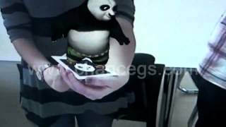 AR Panda