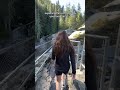 📍Nairn Falls, BC 🥾🚗 Remember to recreate responsibly and leave no trace on all of your adventures