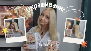 :    !        L'OREAL EXCELLENCE 