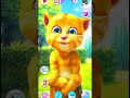 My ginger tom2 viral cat game shorts catcrying viralfeeds