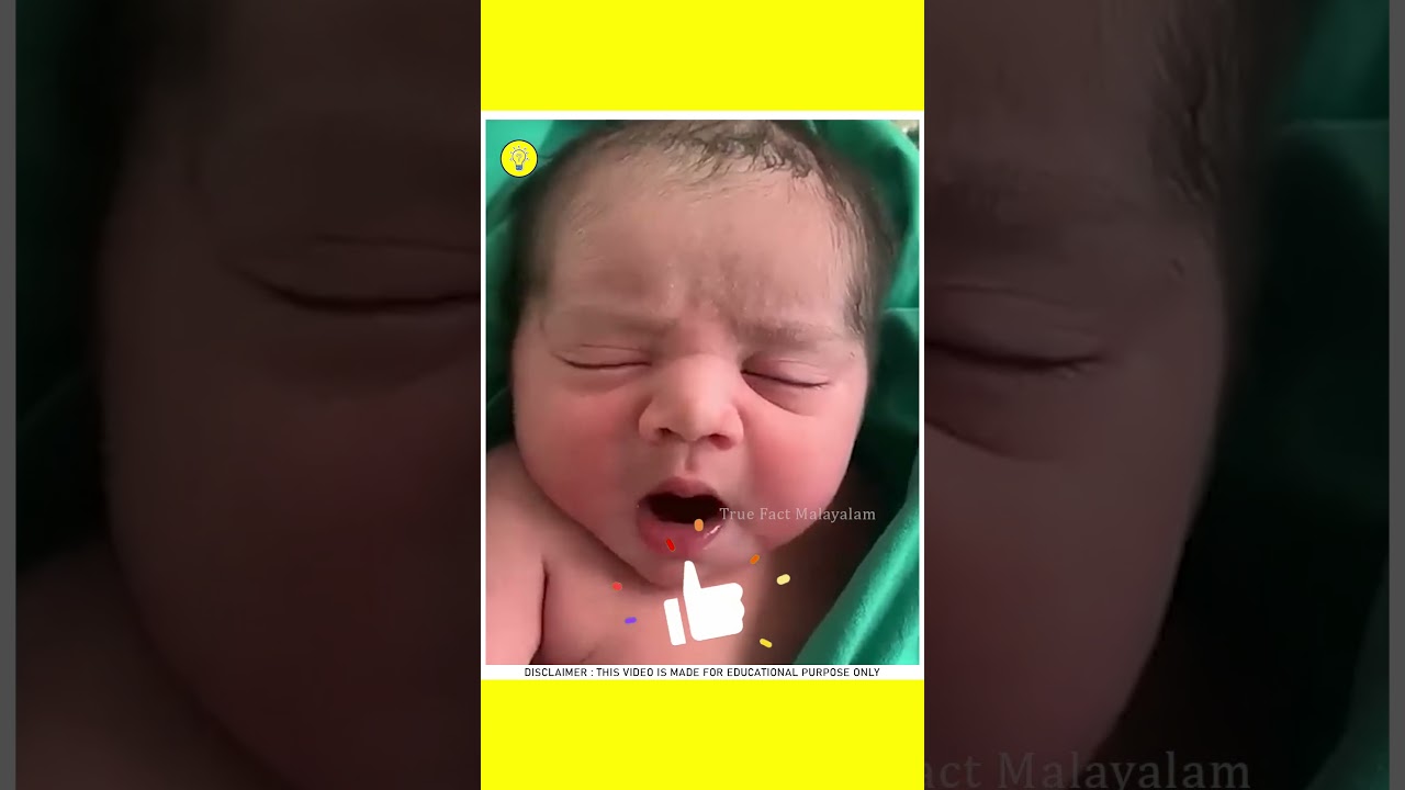 Why do babies hold people's fingers? | unknown facts | facts Malayalam 