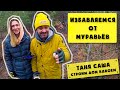 Таня Саша #3: Как избавиться от муравьев