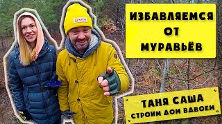 Таня Саша #3: Как избавиться от муравьев