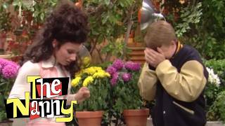 Brighton s Science Project Doesn t Survive Fran s Help The Nanny