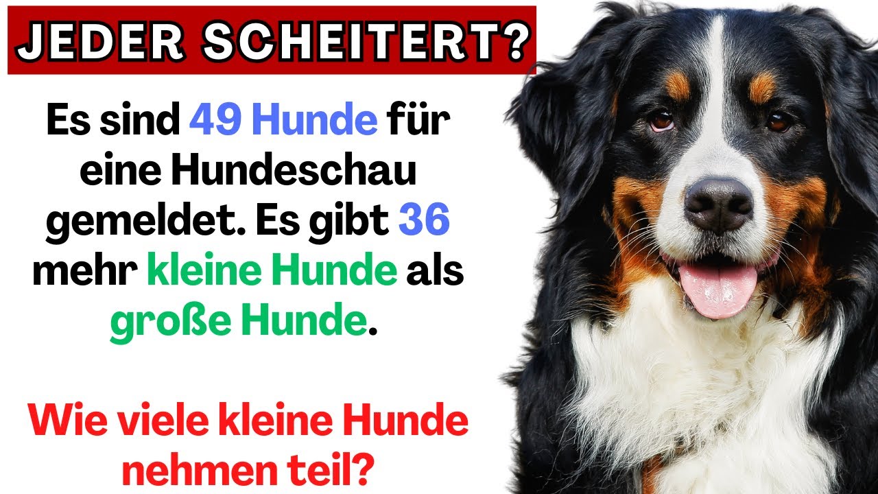 Die offizielle Lösung dieser Aufgabe ist verrückt!