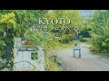 森の奥に佇む絵本カフェ巡り🌿｜アンティーク雑貨とスイーツの癒し旅☕️｜喫茶ユメクサ｜はーばりすとくらぶ美山｜beans cafe|【南丹市】