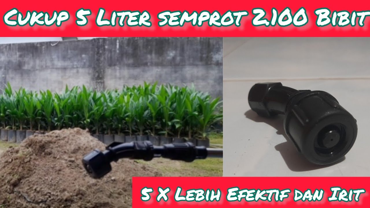 Semprot Racun Semprot Racun Insektisida dan Fungisida Cara Hemat Murah dan Efektif ...