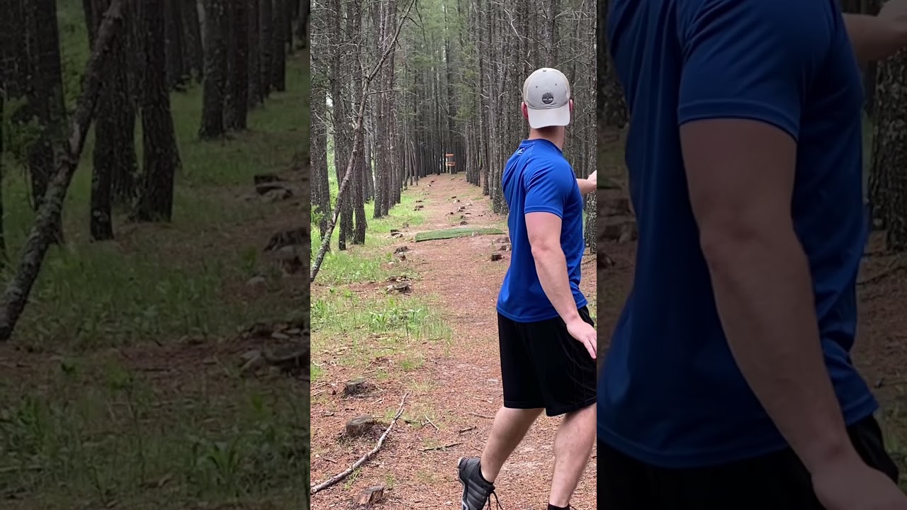 Amazing Disc Golf Ace YouTube