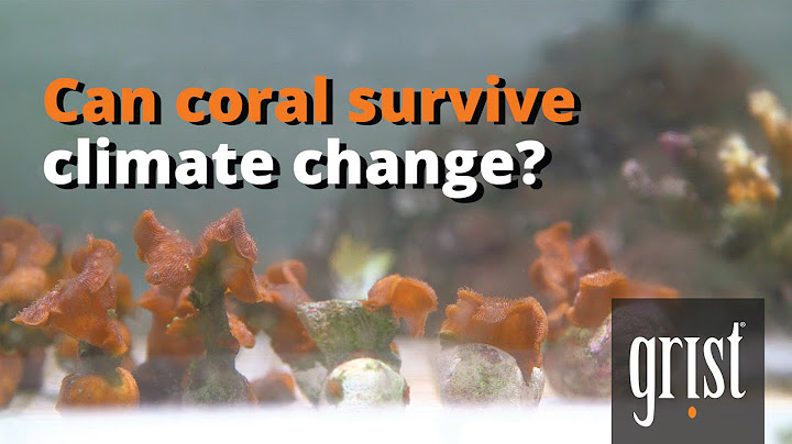 How long can coral be out of water