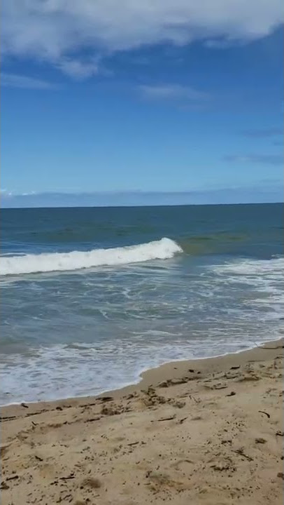 LAGI MAIN DI PANTAI | HALU STORY #shorts  #storyhalu #storyig #storywa