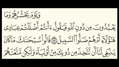 ويوم يحشرهم وما يعبدون من دون الله (سورة الفرقان)