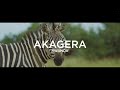 Akagera National Park | Rwanda in 4K