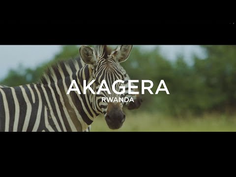Akagera National Park | Rwanda in 4K
