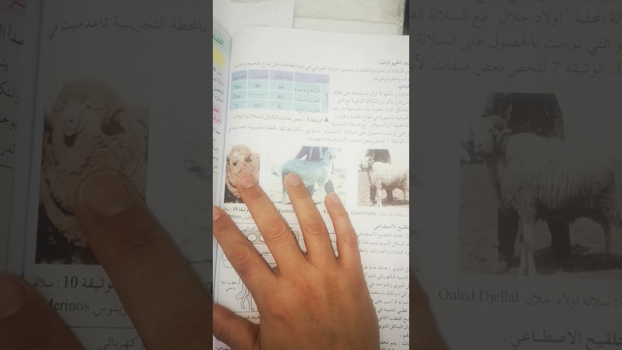التهجين(الجزء الثاني) و حل تمارين سنة أولى ثانوي علمي