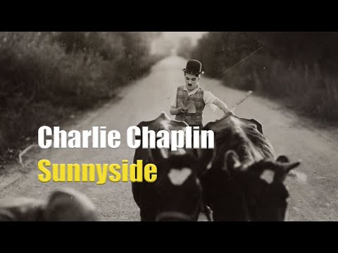 Charlie Chaplin misplaces a herd of cattle - Clip from Sunnyside (1919)