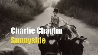 Charlie Chaplin misplaces a herd of cattle - Clip from Sunnyside (1919)