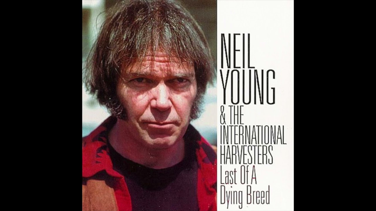 2-03. ニール・ヤング Neil Young / Soul of a Woman (Last of a Dying