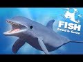 ДОБАВИЛИ ДЕЛЬФИНА, НАКОНЕЦ-ТО! ОБНОВЛЕНИЕ! | Feed and Grow Fish