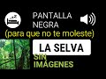 💤 Sonidos selva amazónica (SIN imágenes, oir en oscuridad) | ⭐ Música neurológica Amazonas, by MATÍA