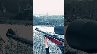 Winter Hunting Adventure With Izh-18 .222 Rem Stealth Tracking In Snow