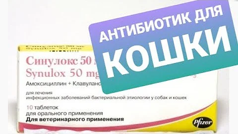 Лечить кошку и собаку, Синулокс, от ран и воспаления