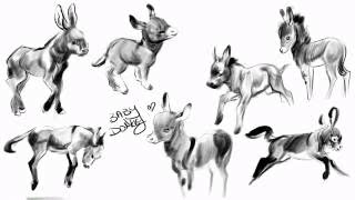 Artkitty Draws - Procreate Cute Baby Donkey