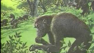 El Paleolítico en la evolución humana