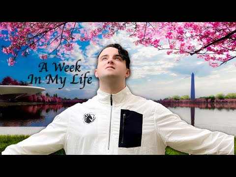 BTS SUGA CONCERT AND CHERRY BLOSSOMS! (week in my life vlog)