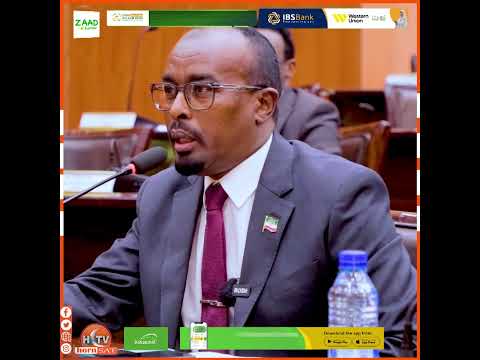"Xukumad Diyaarad saaran oo Bulshadeedii la hadlayn ayanu Arkayna"Xil Cali Qaran
