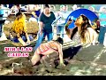 EN CUATRO PATAS CORRIO PARA HACER MENOS TIEMPO