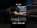 wyse - 幻想と妄想の霧 (Guitar Solo cover)