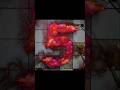 I can't wait for the next Trailer! – Chapter 5 #poppyplaytime #huggywuggy #fxyoeditz #shorts