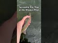 What’s your favorite river to float?