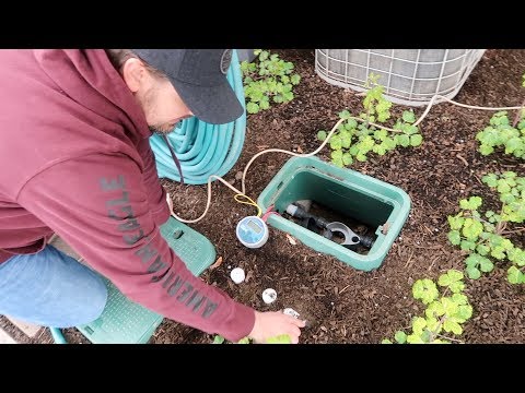 Setting Up Our Window Boxes on Drip Irrigation! 💦🌿// Garden Answer