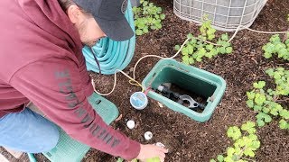 Setting Up Our Window Boxes on Drip Irrigation! 💦🌿// Garden Answer